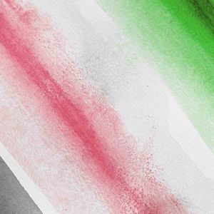 女主播直播引诱技师小伙
